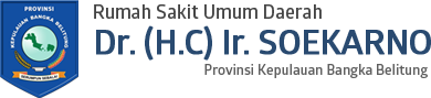 Rumah Sakit Umum Daerah Dr. (HC) Ir. Soekarno